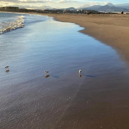 Playa La Tejita,atico De Proa Appartamento *